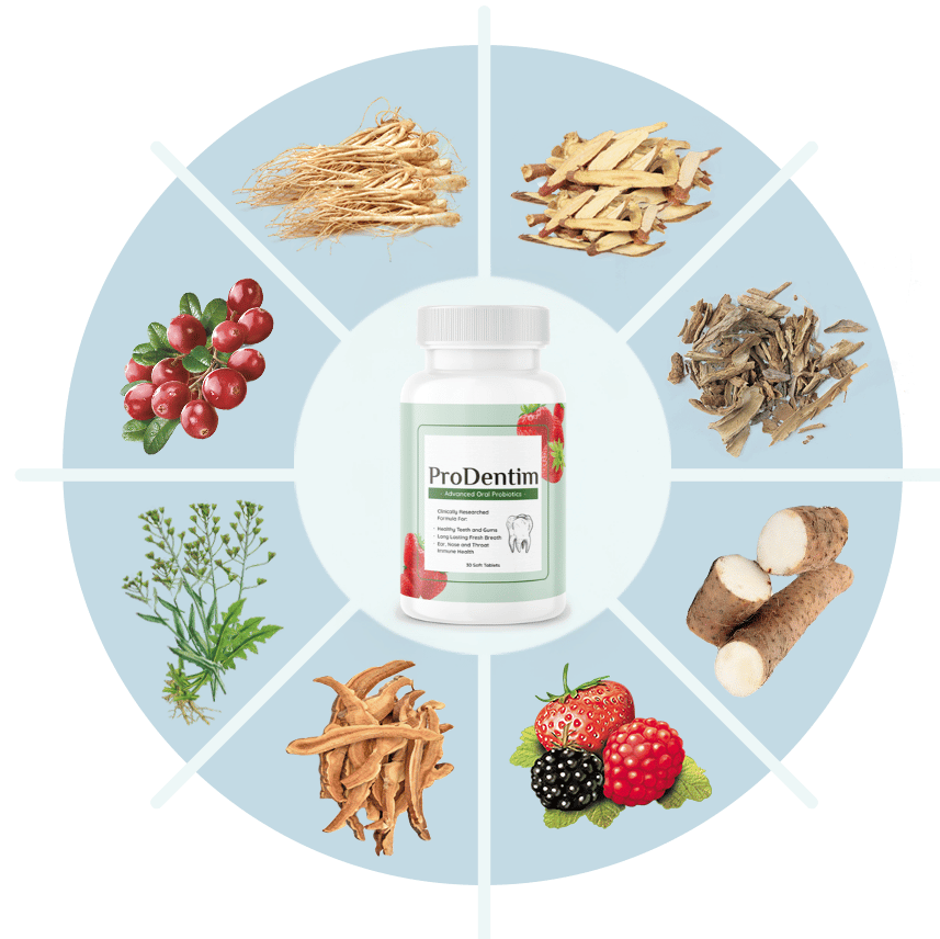 Illustration of ProDentim Ingredients